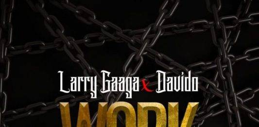 Larry Gaaga Ft. Davido – Work